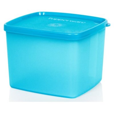 Tupperware «Хранитель» (800 мл)